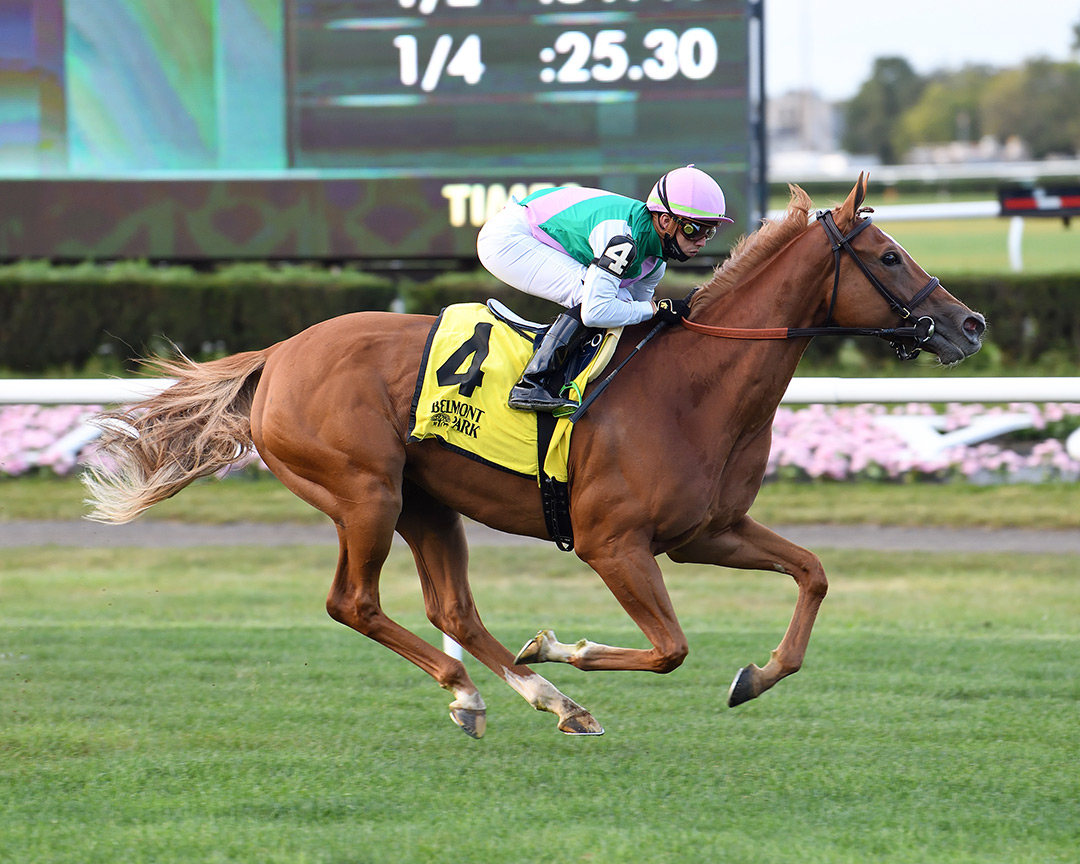 Pocket Square wins the 2021 Athenia Stakes at Belmont Park