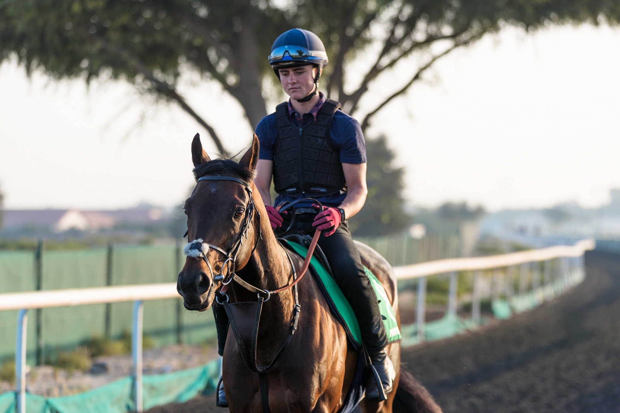 Poet-s Word at Meydan in March 2018