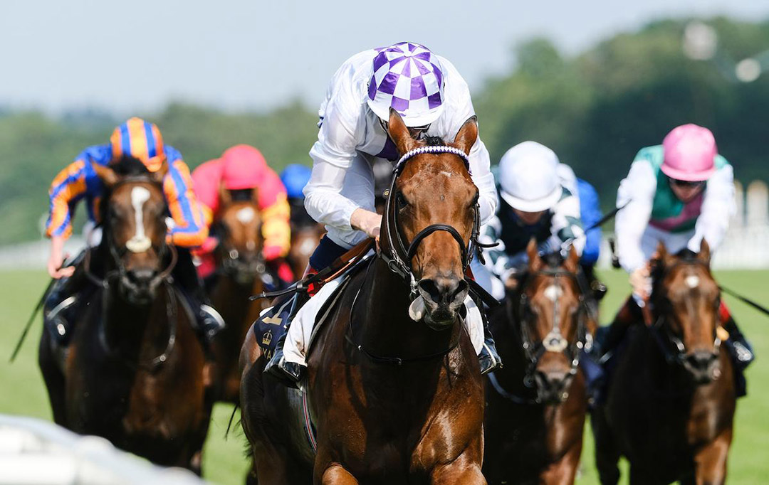 Poetic Flare wins the 2021 St. James Palace Stakes at Royal Ascot