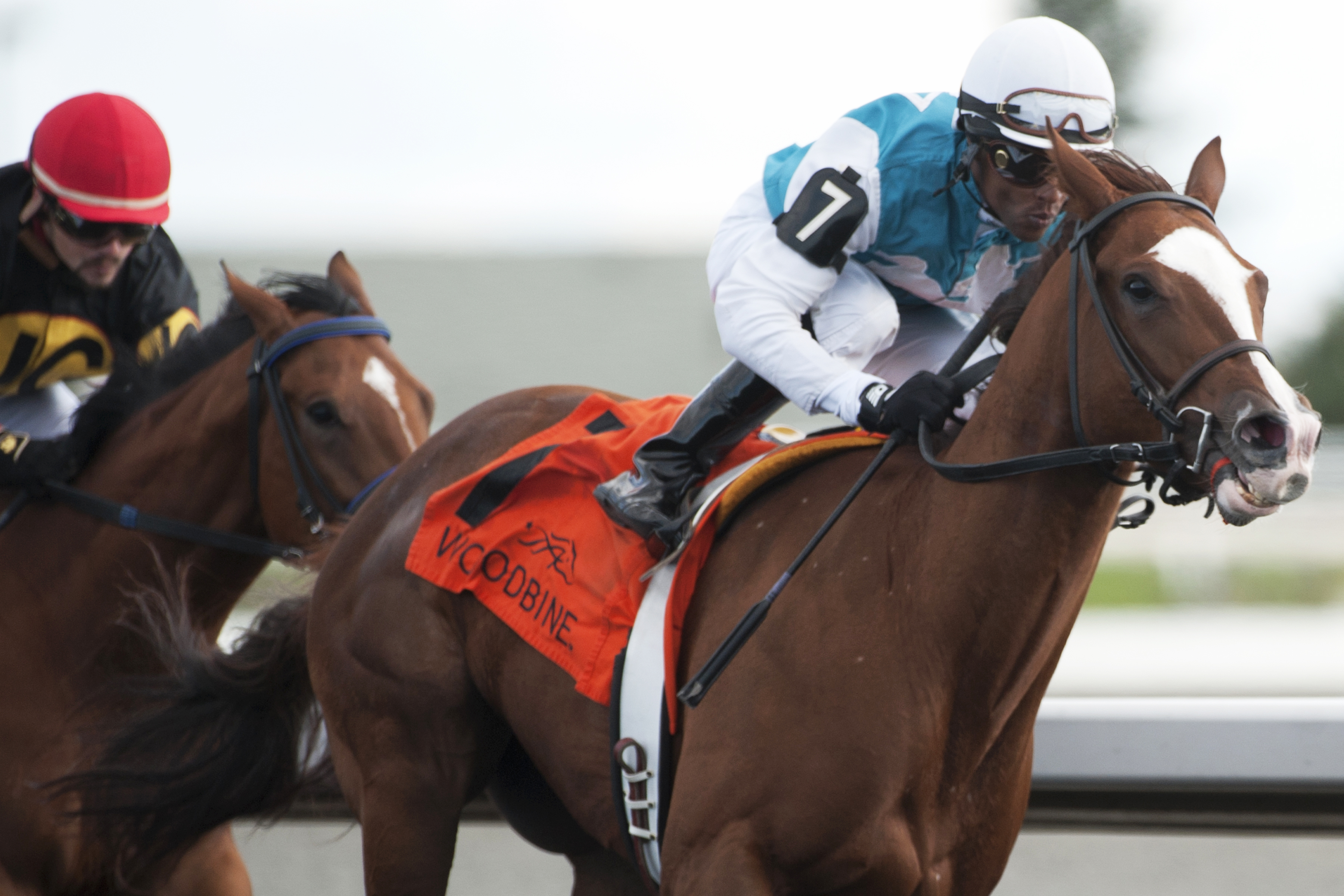 Pohdi Pohdi wins the Queen Victoria Stakes