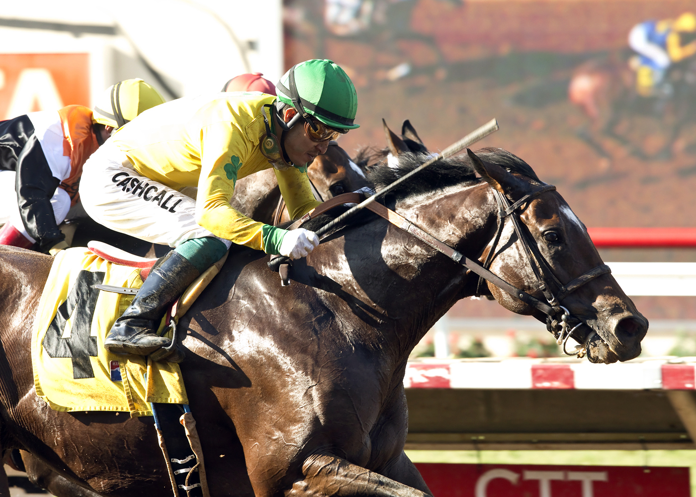 Point Piper wins the Harry F. Brubaker