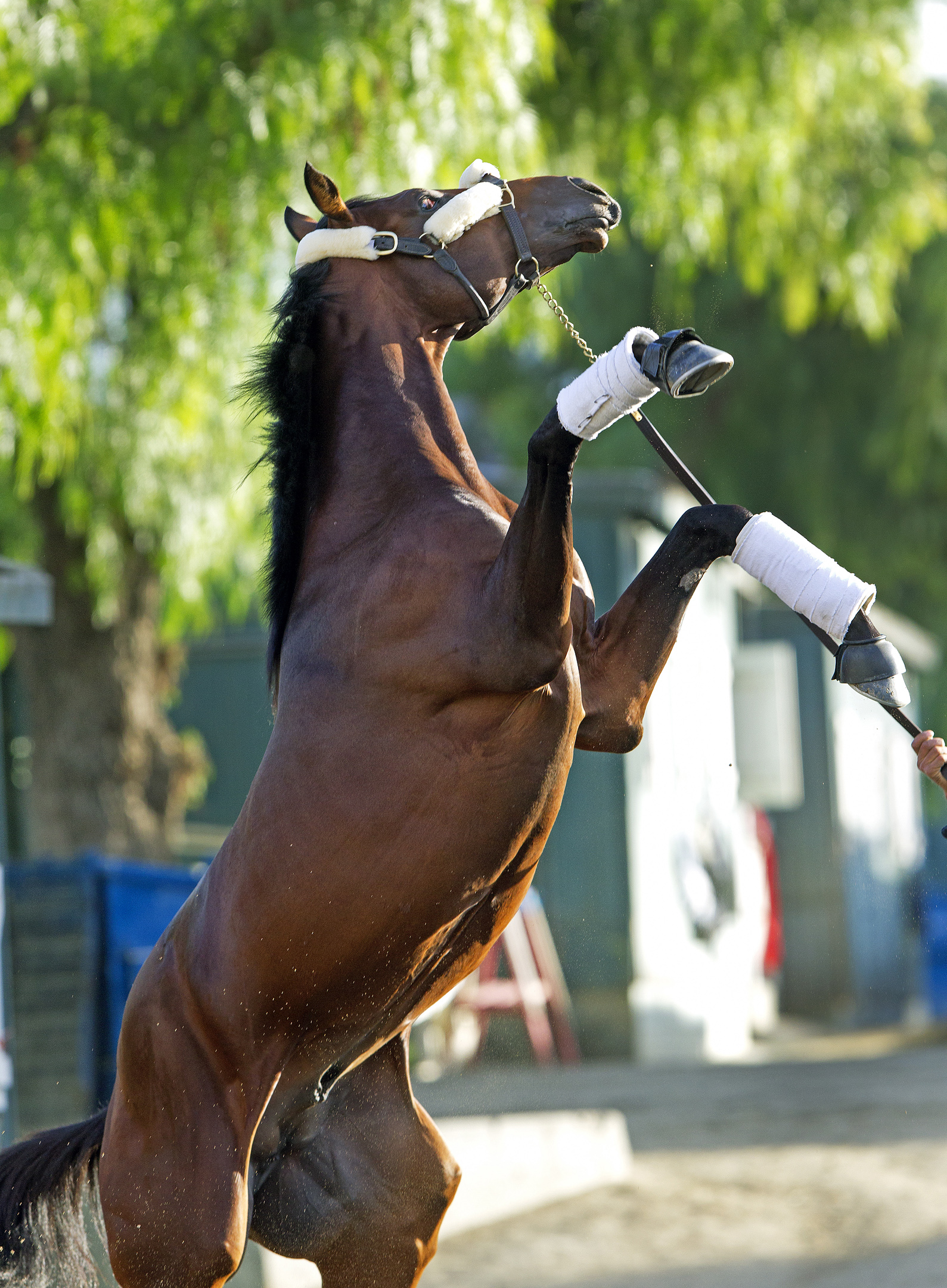 Point of Entry