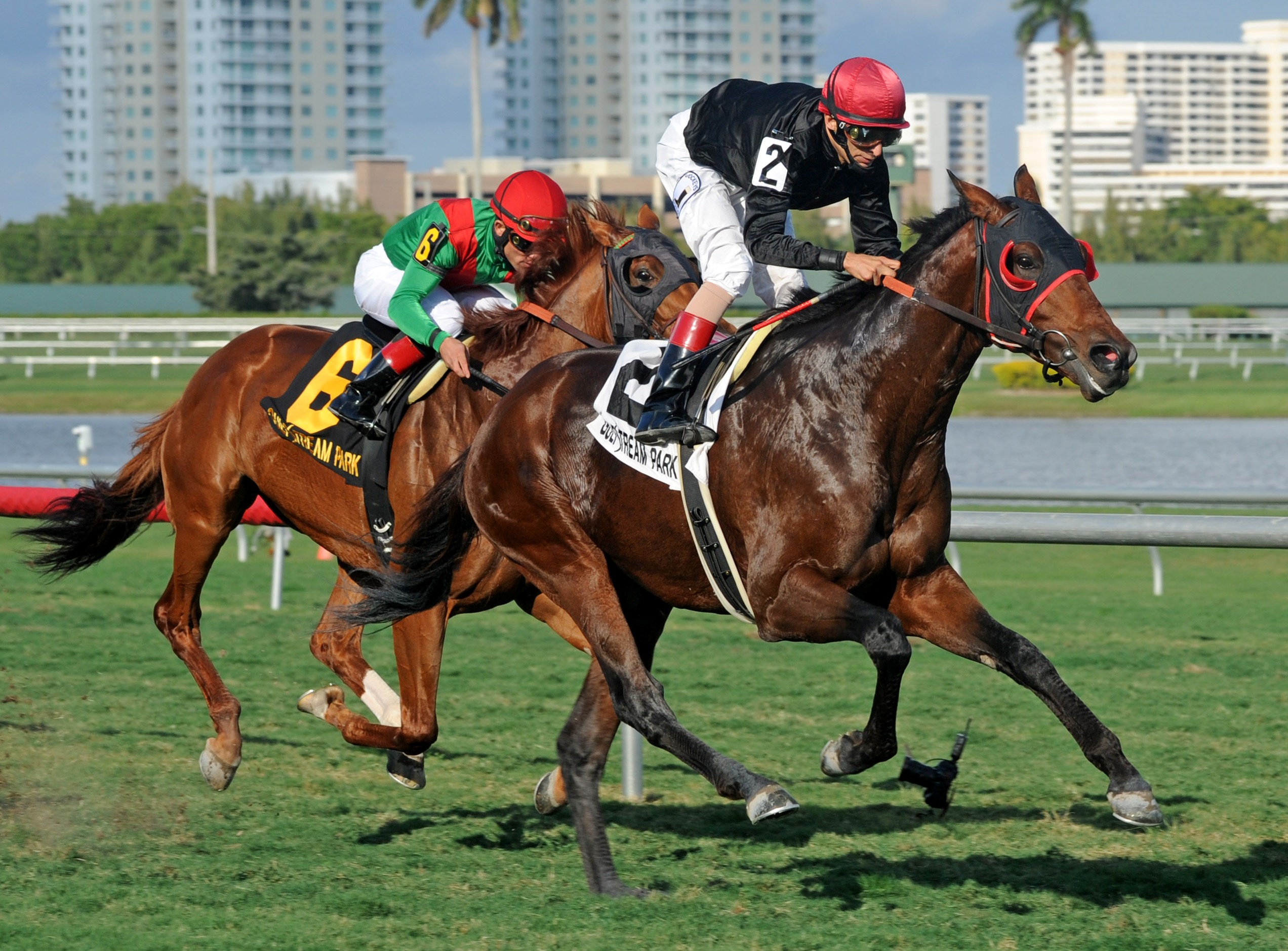 Point of Entry, Gulfstream Turf Handicap