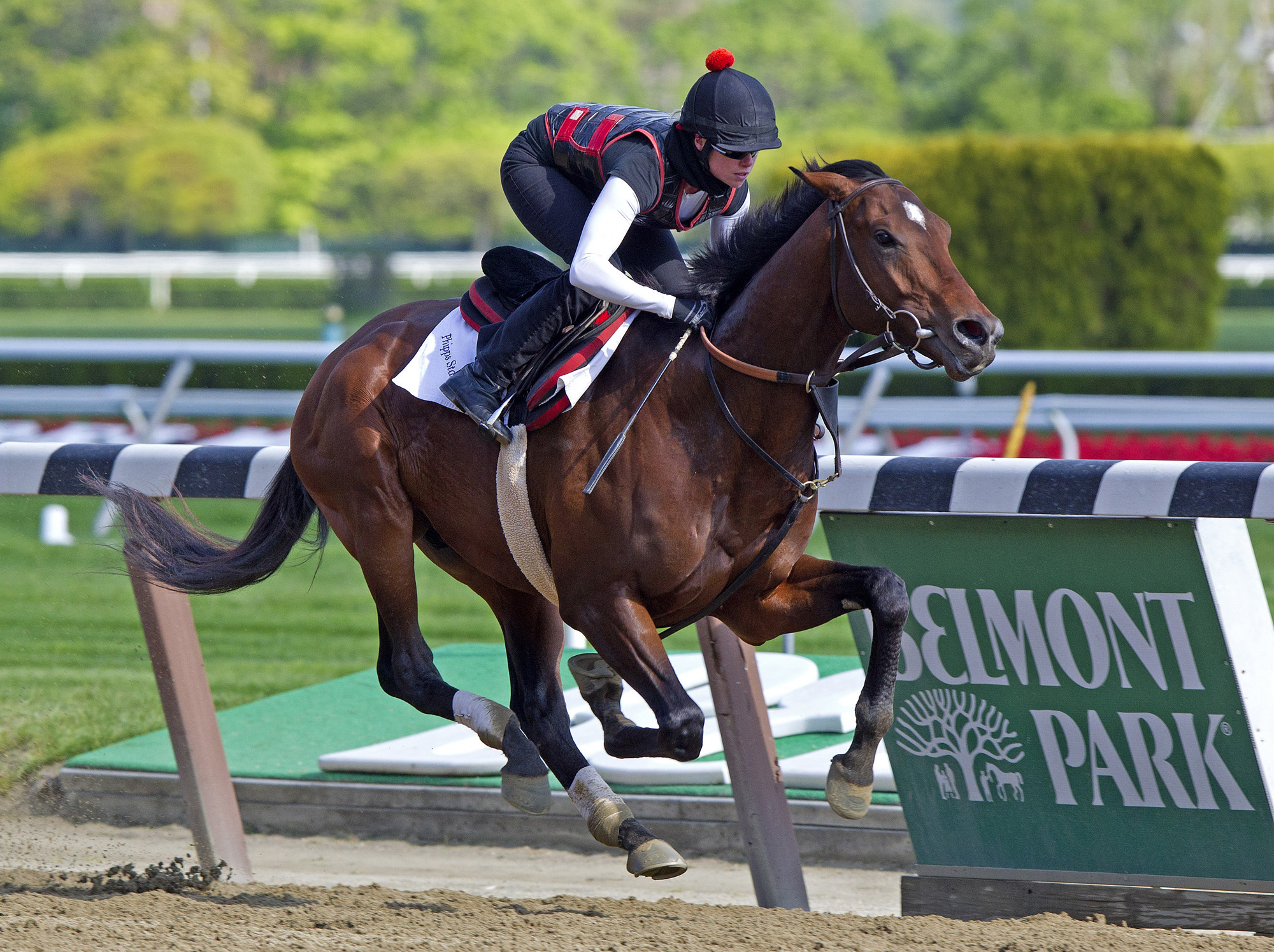 Point of Entry