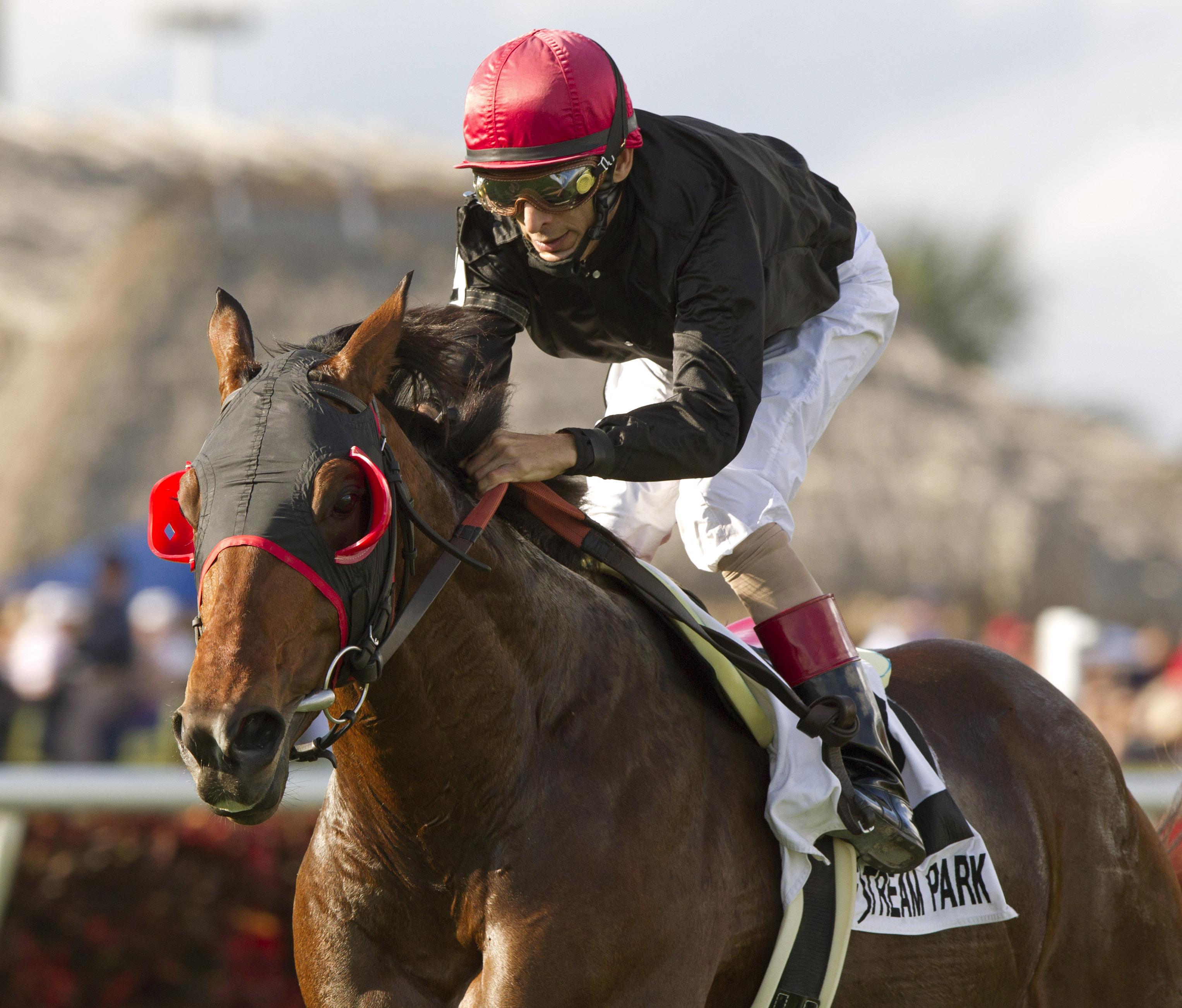 Point of Entry, Gulfstream Park Turf Handicap