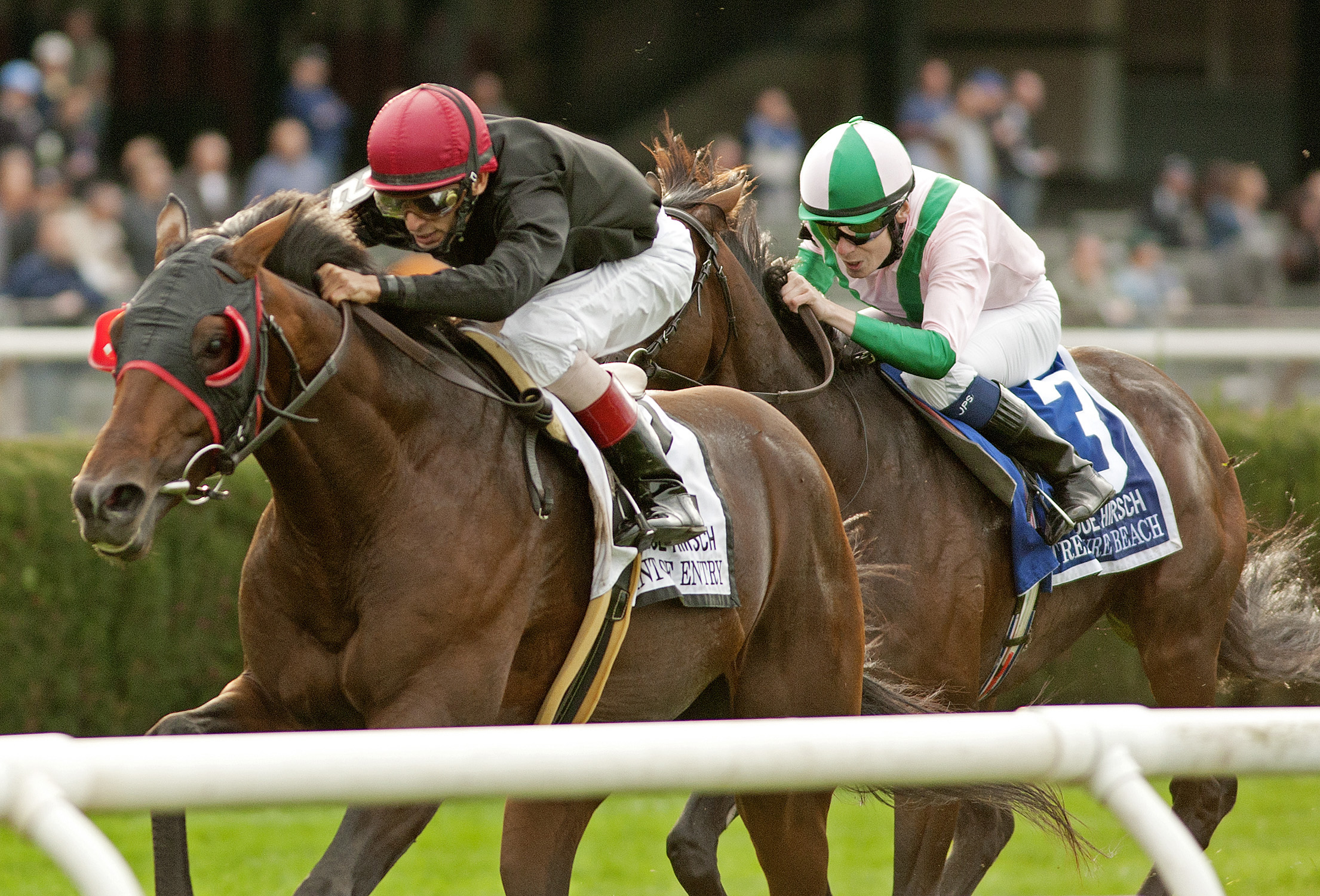 Point of Entry/Joe Hirsch Turf Classic