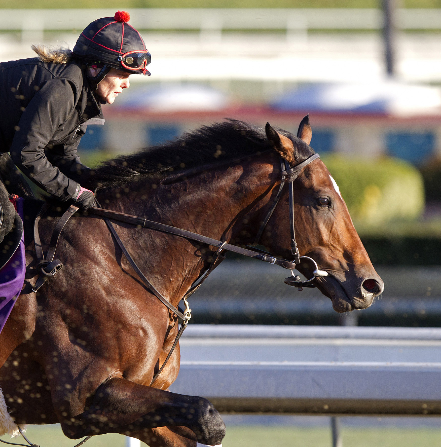Point of Entry training at Santa Anita