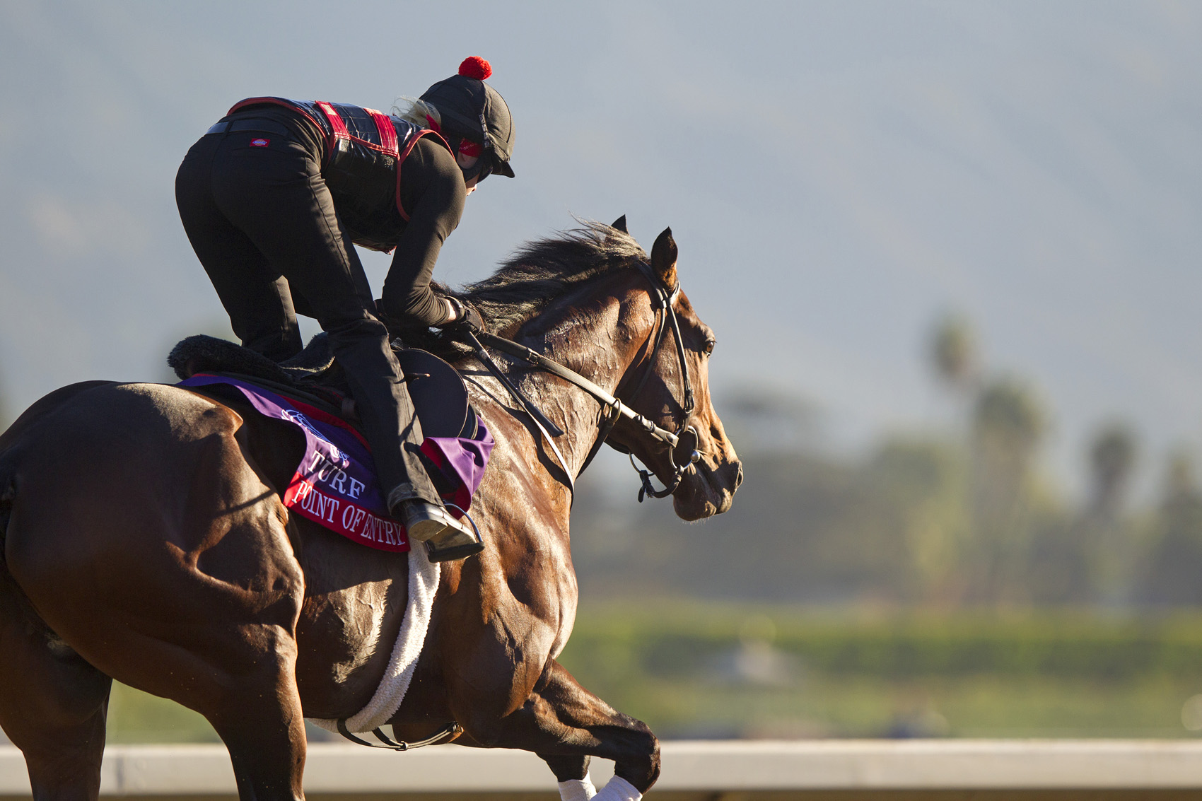 Point of Entry