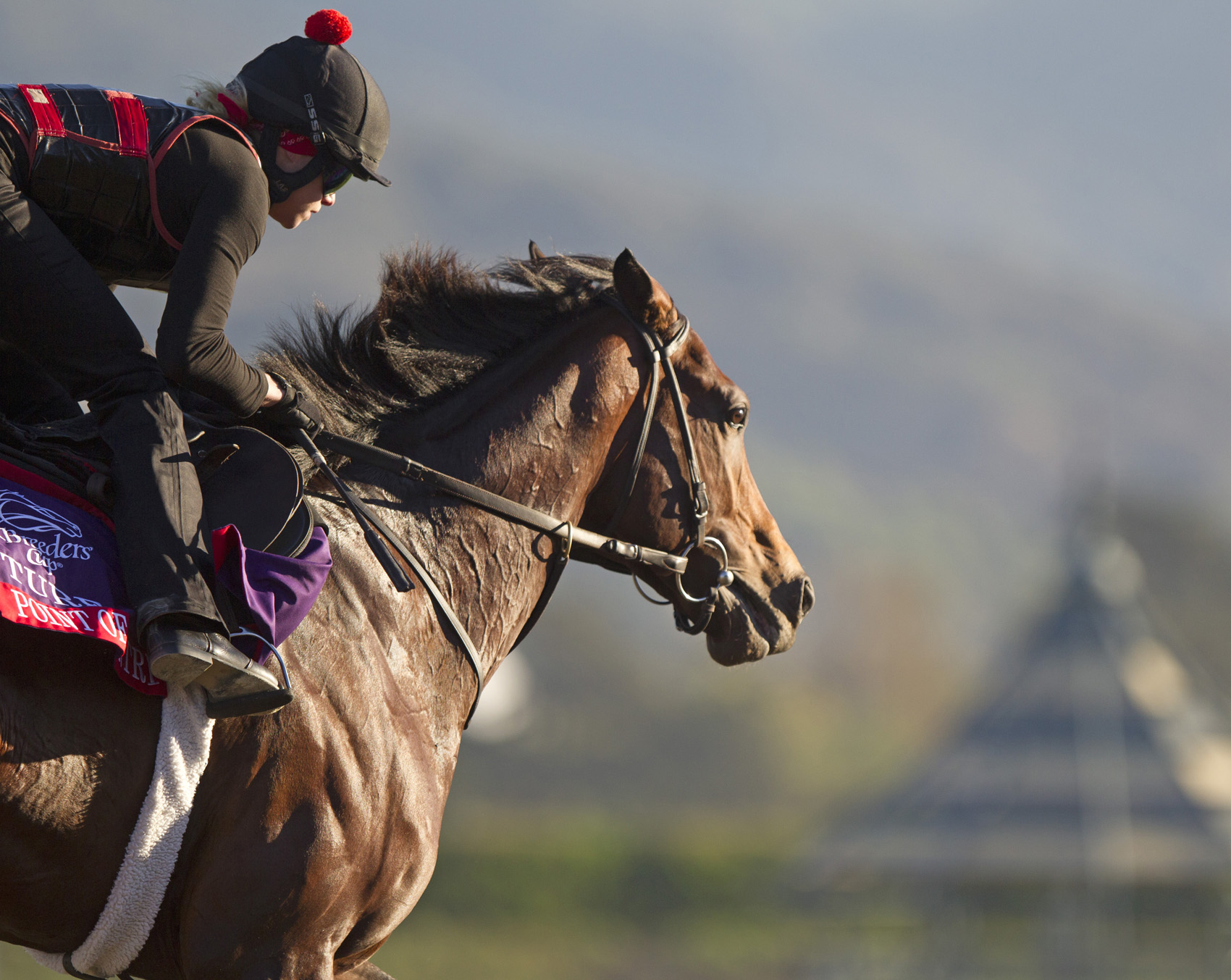 Point of Entry