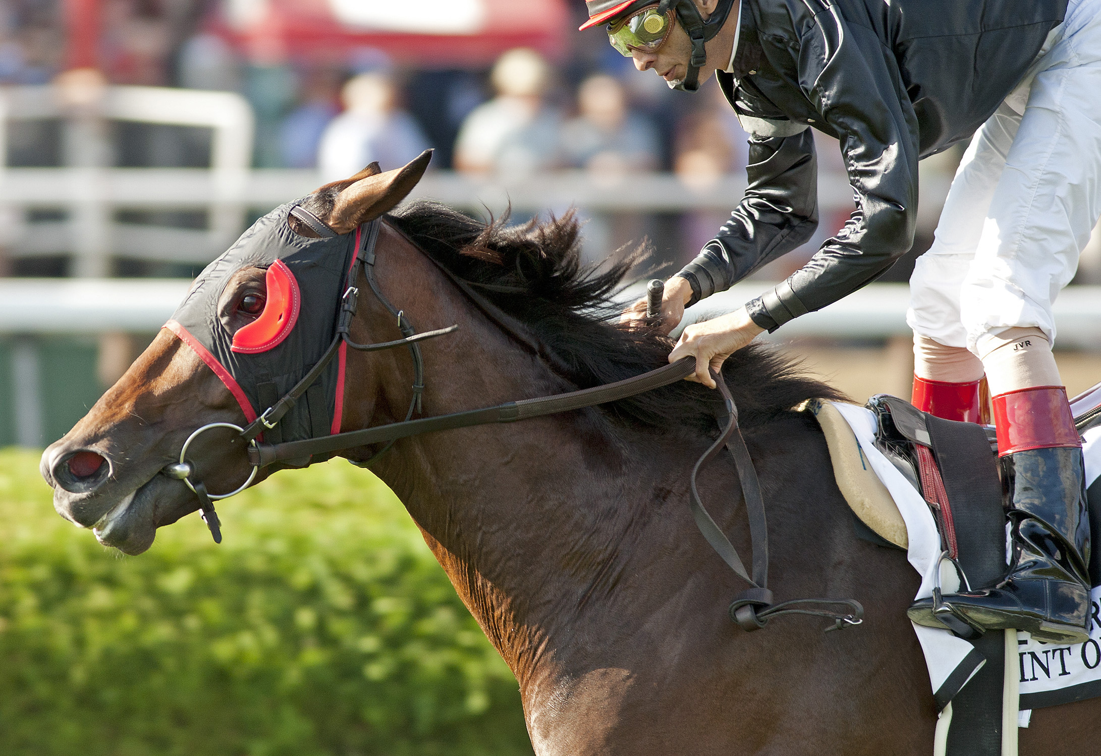 Point of Entry/Man o' War