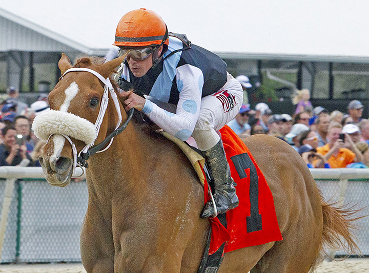 Point of Honor wins the 2019 Suncoast Stakes