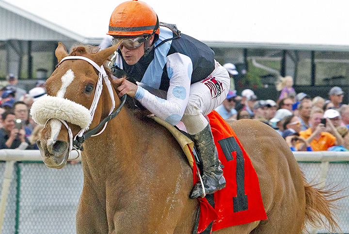 Point of Honor wins the 2019 Suncoast Stakes