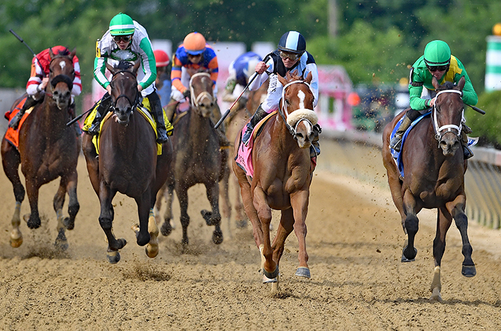 Point of Honor wins the 2019 Black-Eyed Susan