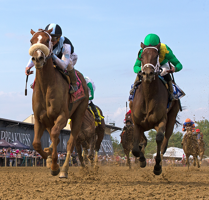 Point of Honor wins the Black-Eyed Susan at Pimlico