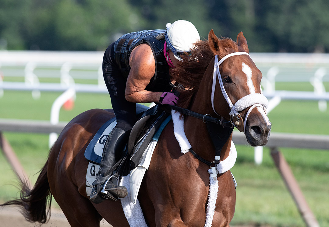 Point of Honor trains at Saratoga Race Course on July 25