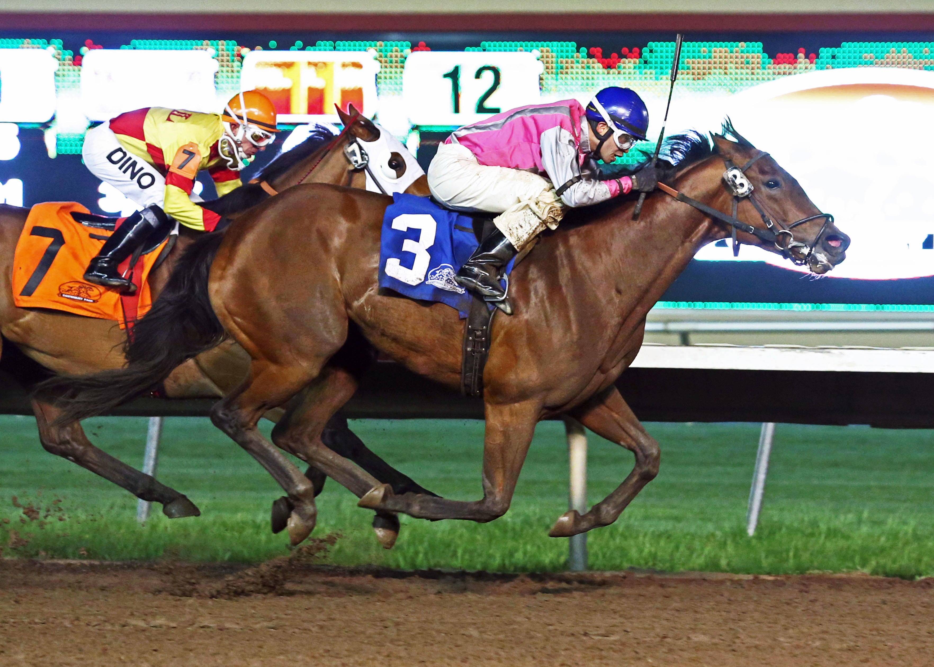 Polar Plunge wins the 2013 Lady Slipper Stakes