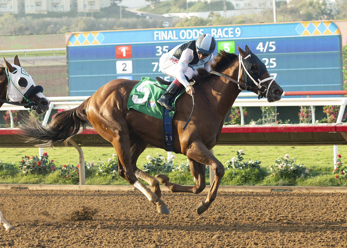 Policy wins an Aug. 19 maiden race