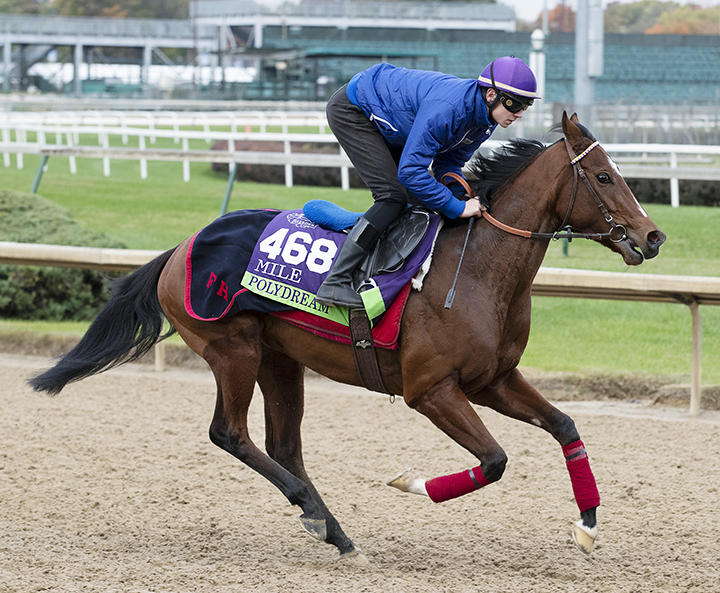 Polydream trains at Churchill on Oct. 30
