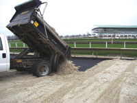Arlington Park