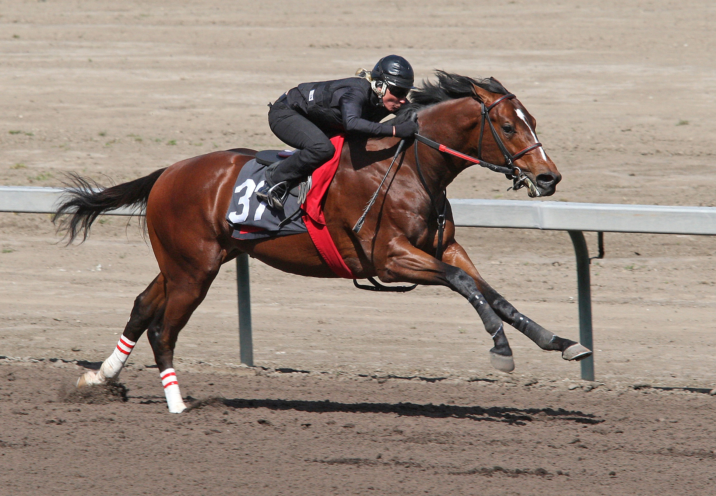 Pomeroy-Leah's Angel02.Hip 37.3-18-11.SK_.jpg