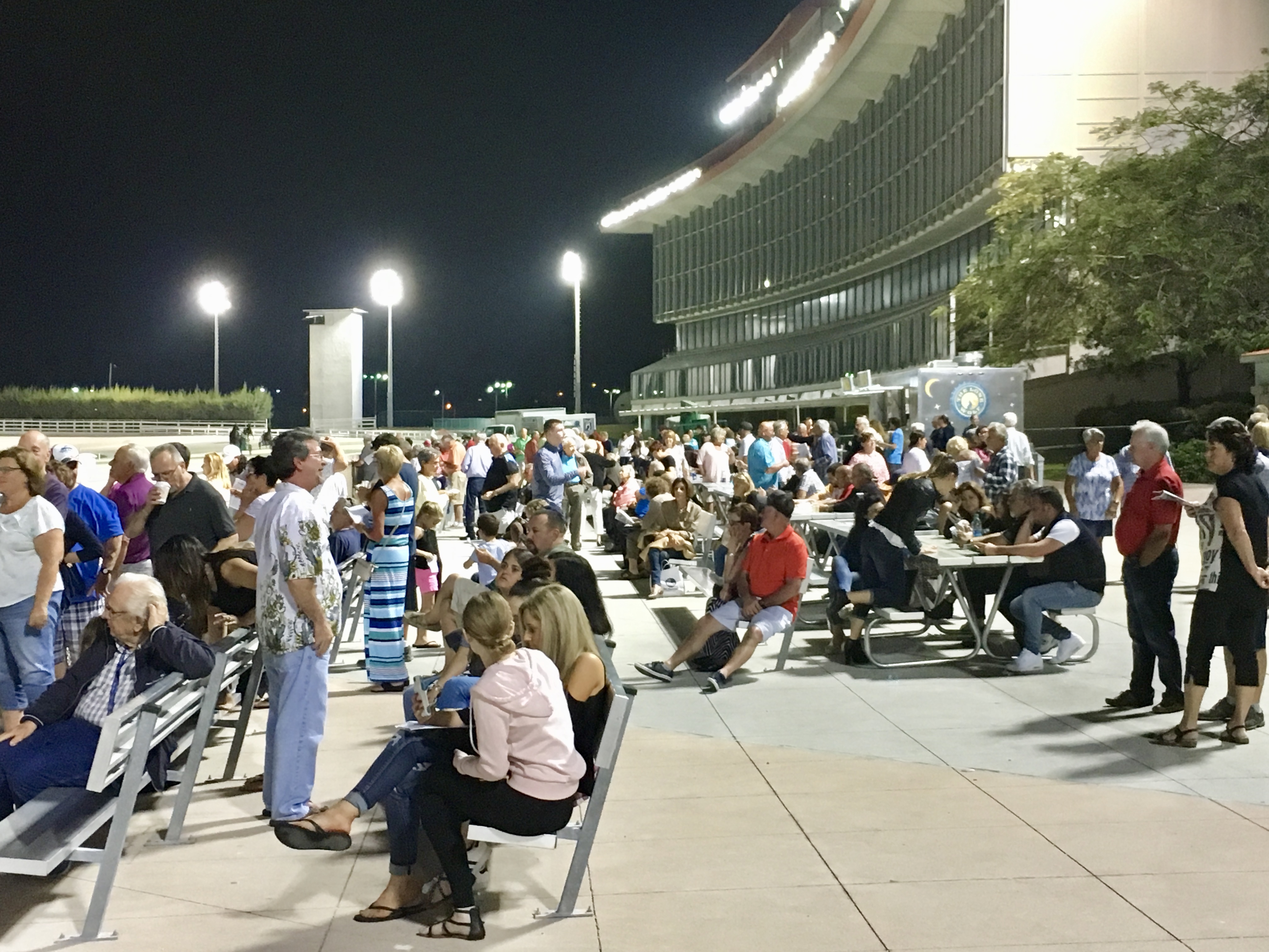 Harness Crowd