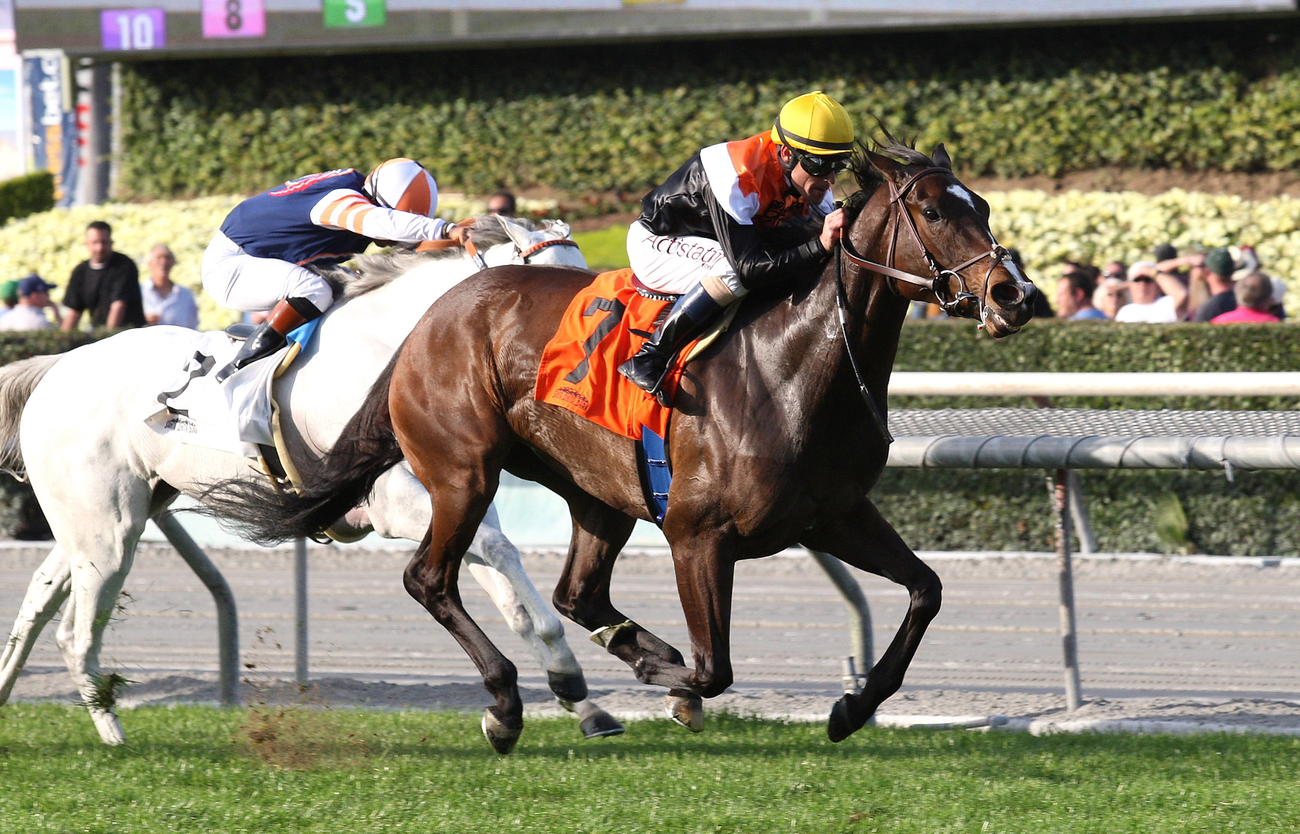 Pontchatrain wins the Buena Vista