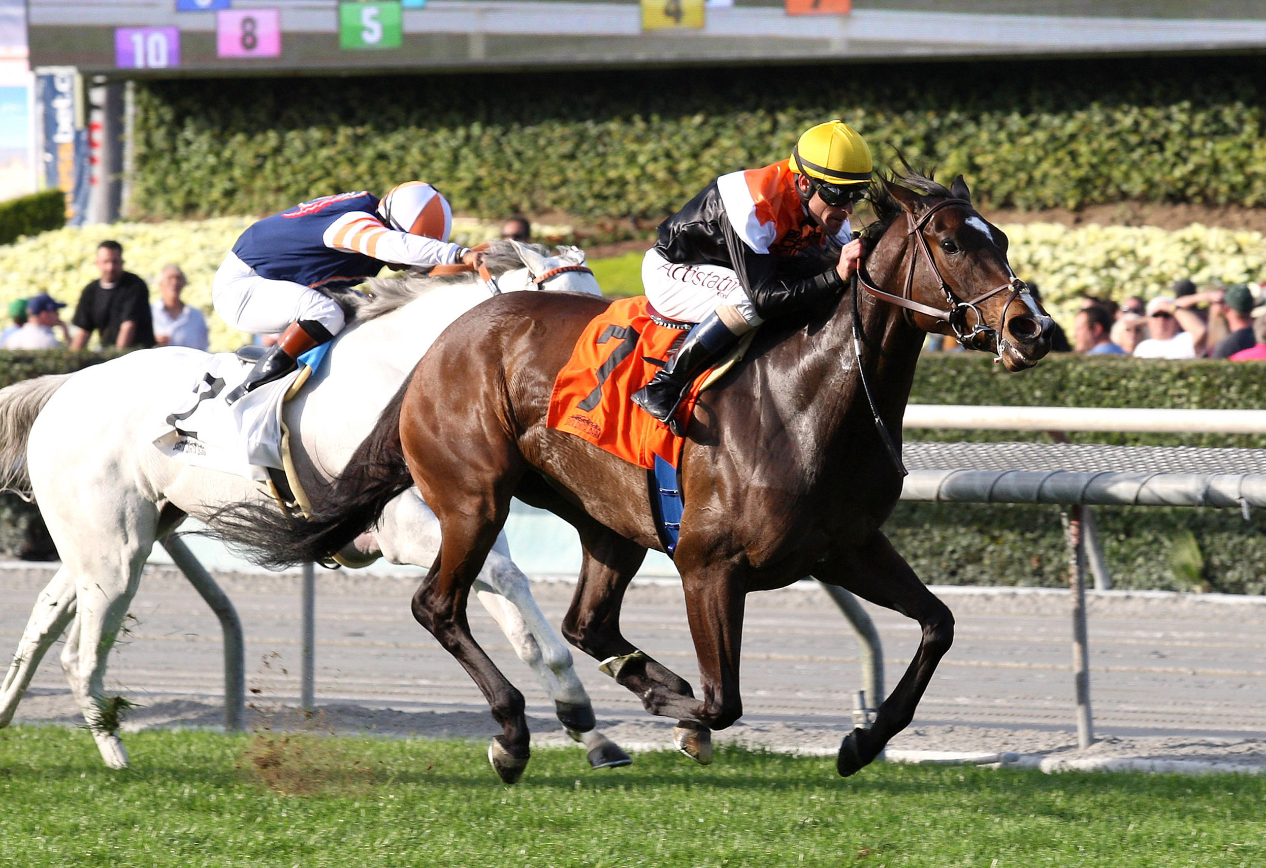 Pontchatrain wins the Buena Vista
