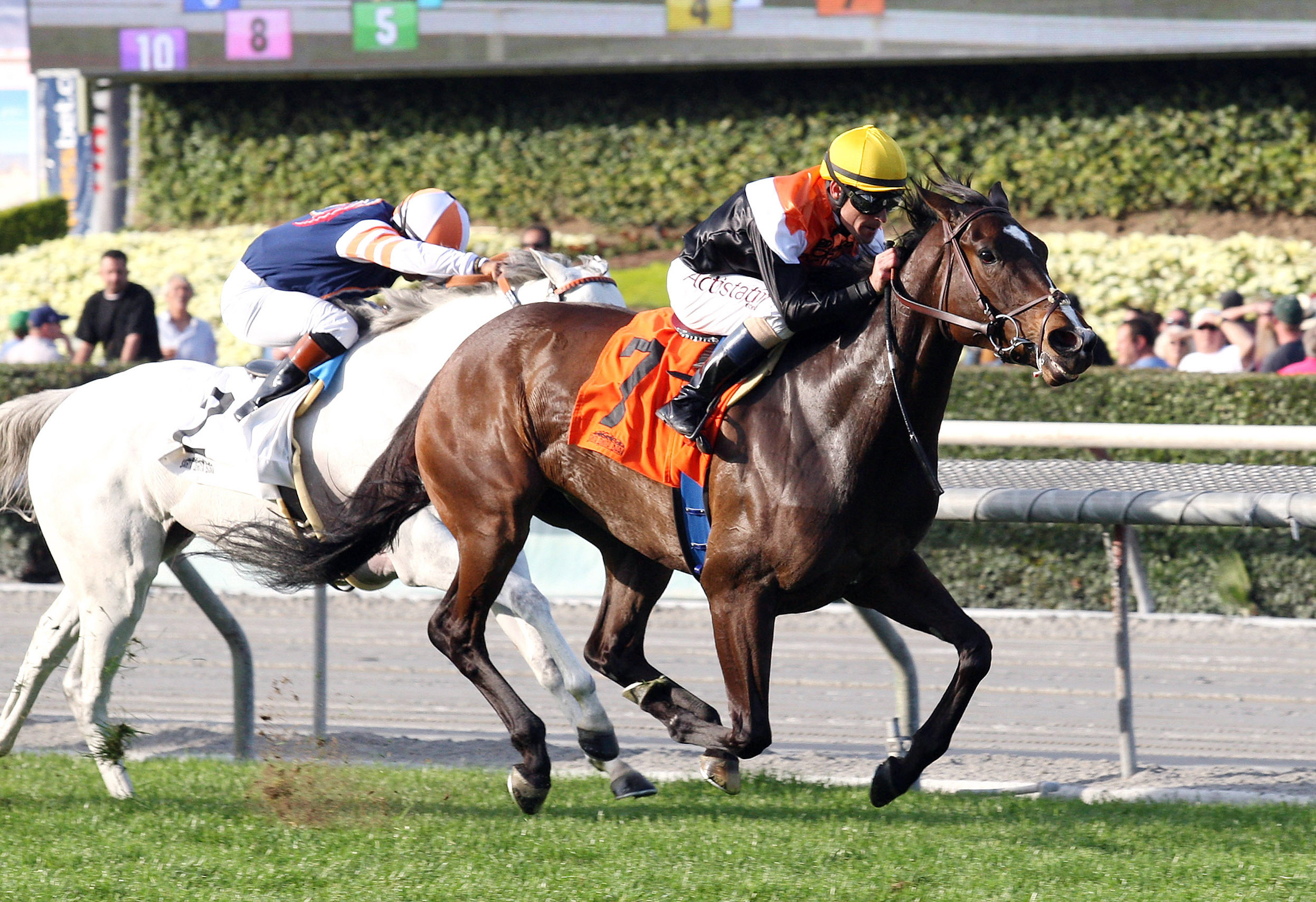 Pontchatrain wins the Buena Vista