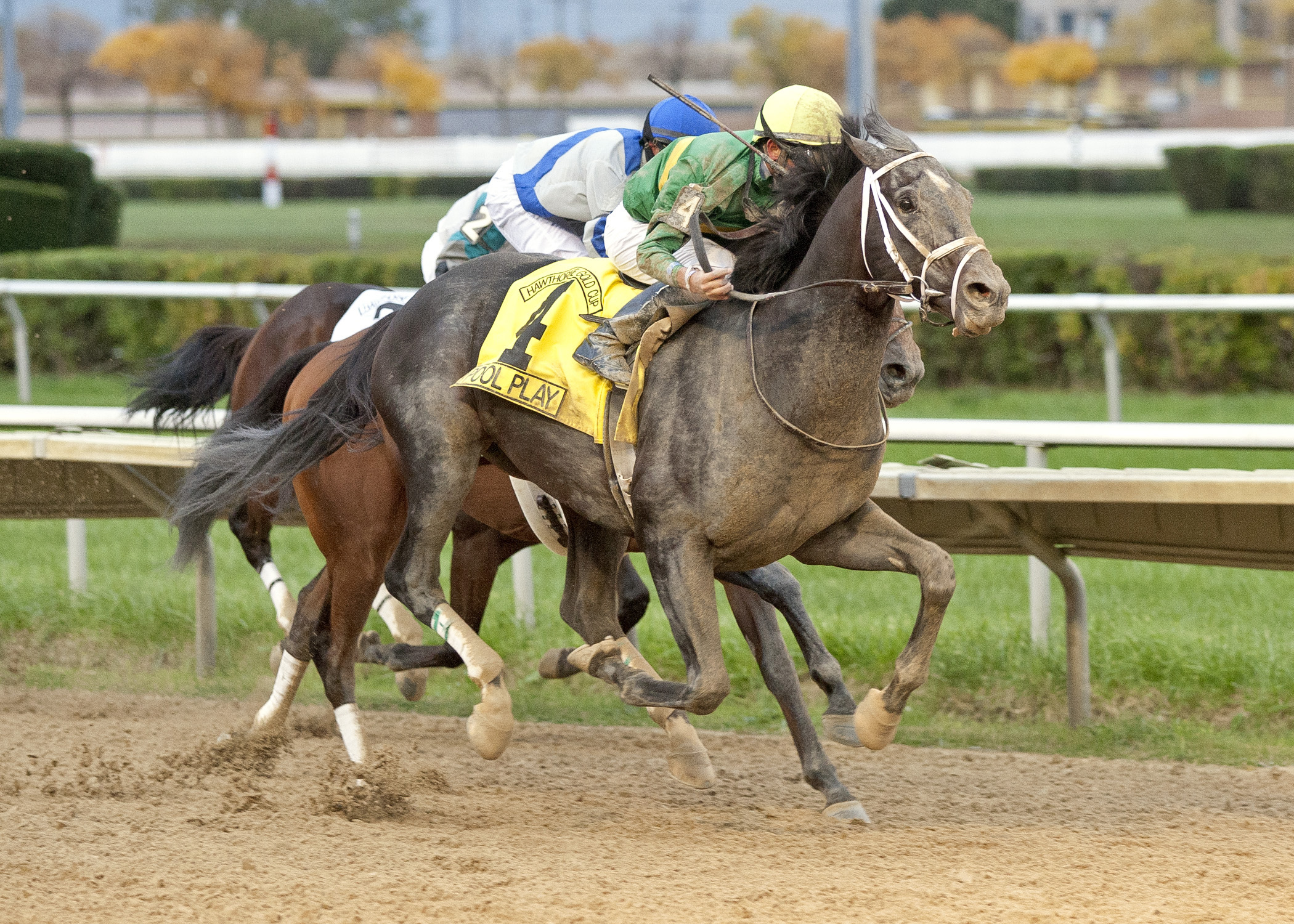 Pool Play/Hawthorne Gold Cup