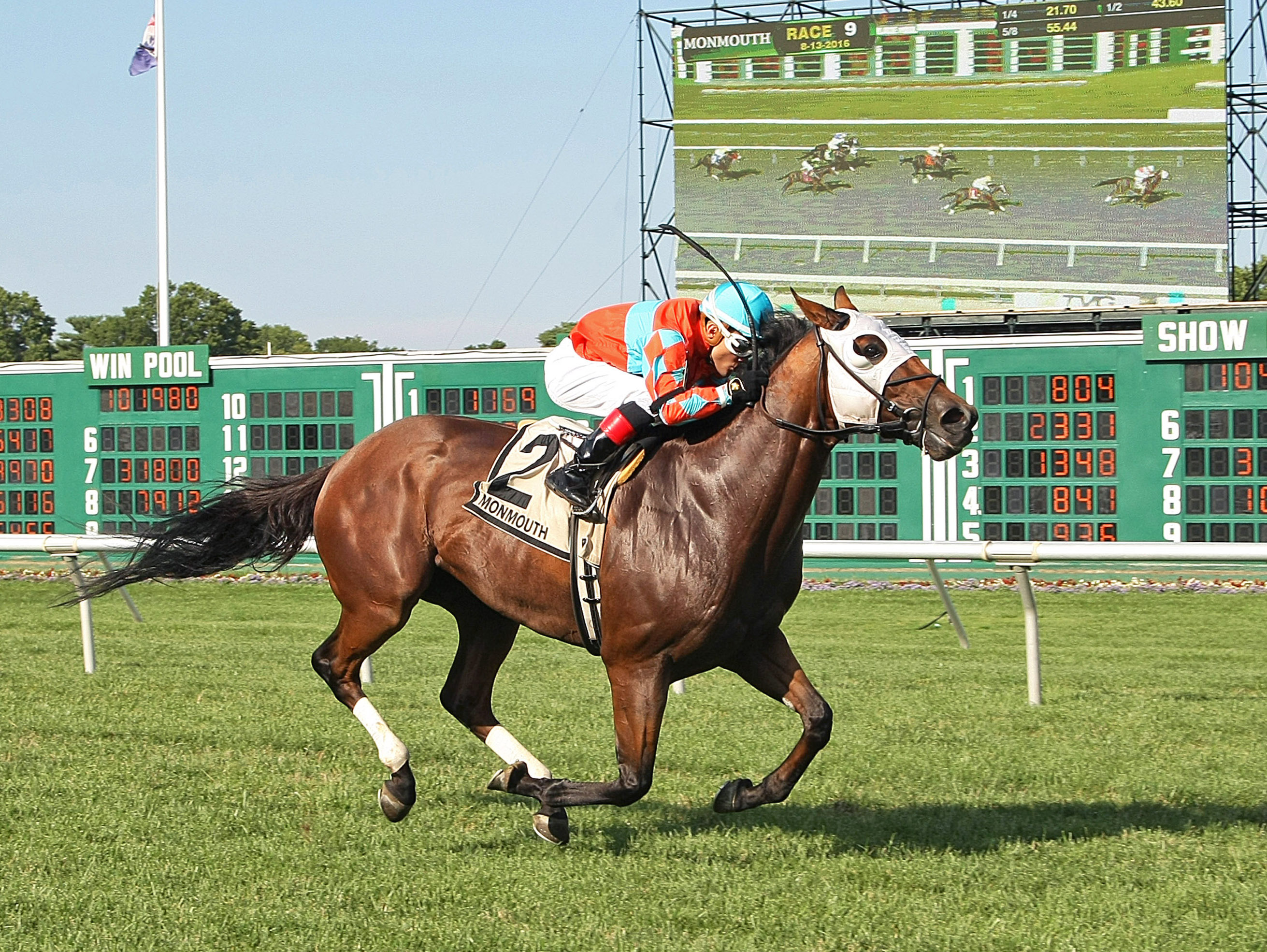 Pool Winner wins the 2016 My Frenchman Stakes