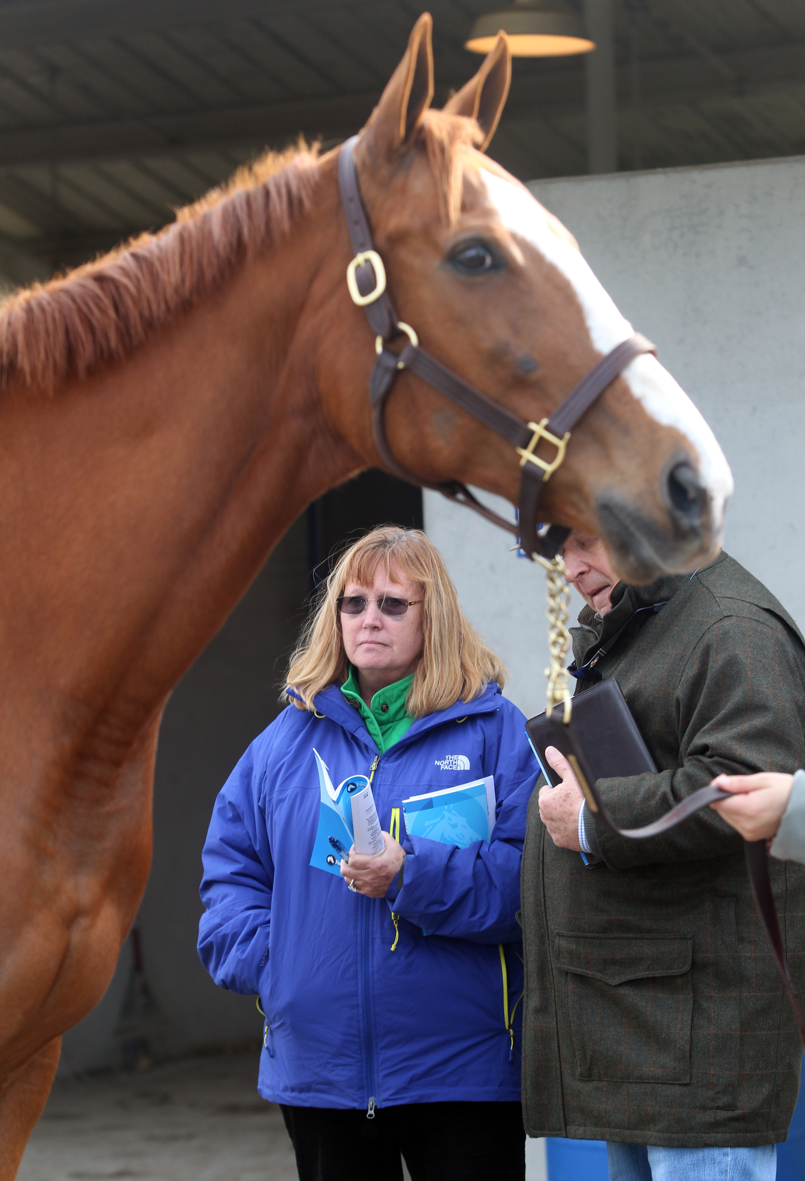 Fasig-Tipton February: Whisper Hill lands Indian Vale for $725K