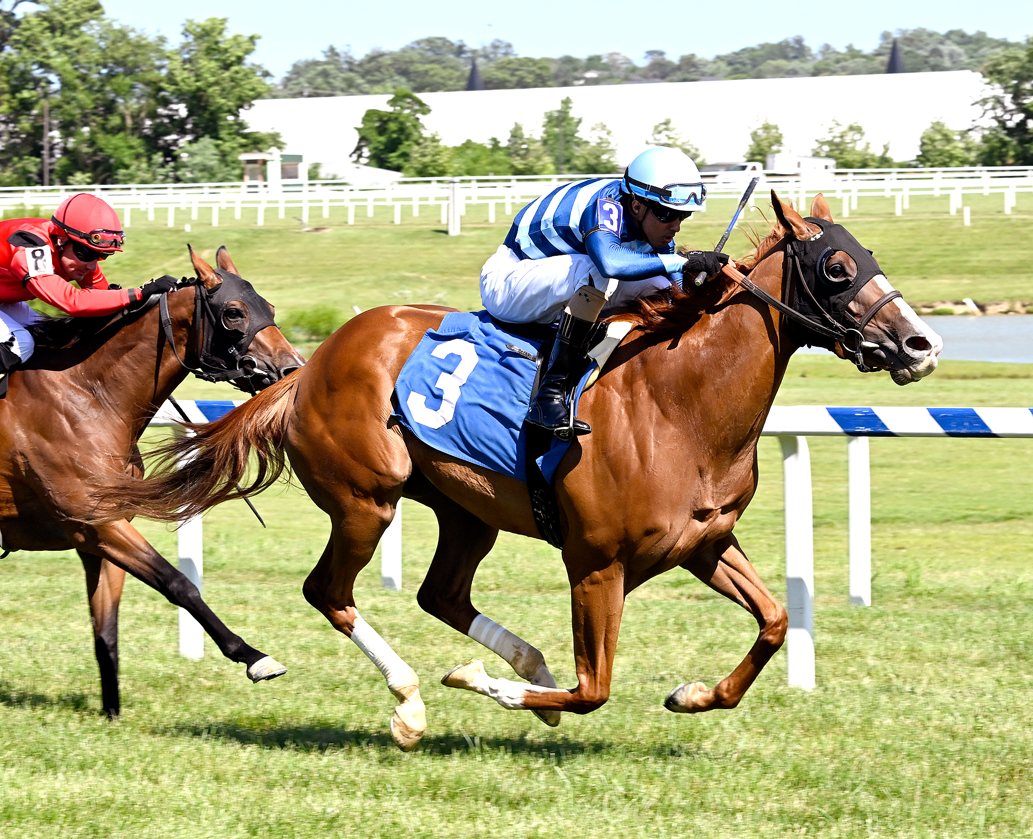Poppy Flower wins Stormy Blues Stakes 6-19-2022