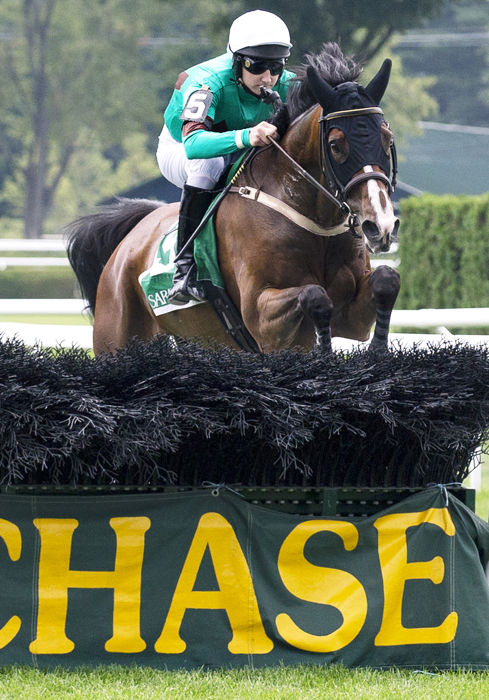 Portrade wins the New York Turf Writers' Cup