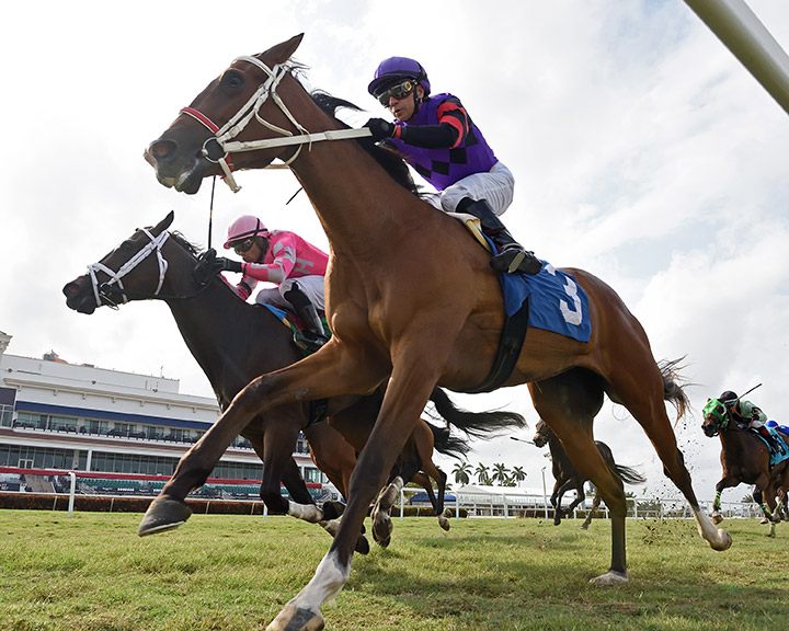 Poseidon's Passion (3) wins an April 17 allowance race at Gulfstream Park