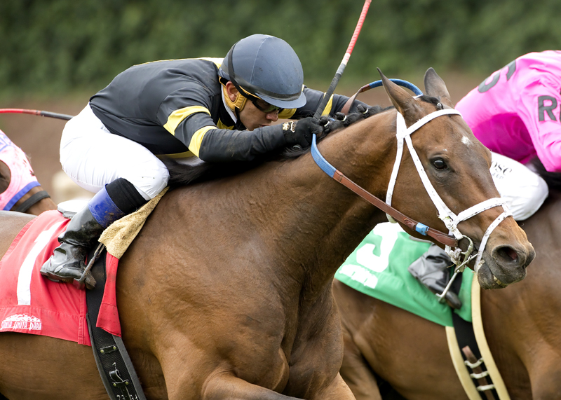 Poshsky wins Crystal Water Stakes at Santa Anita