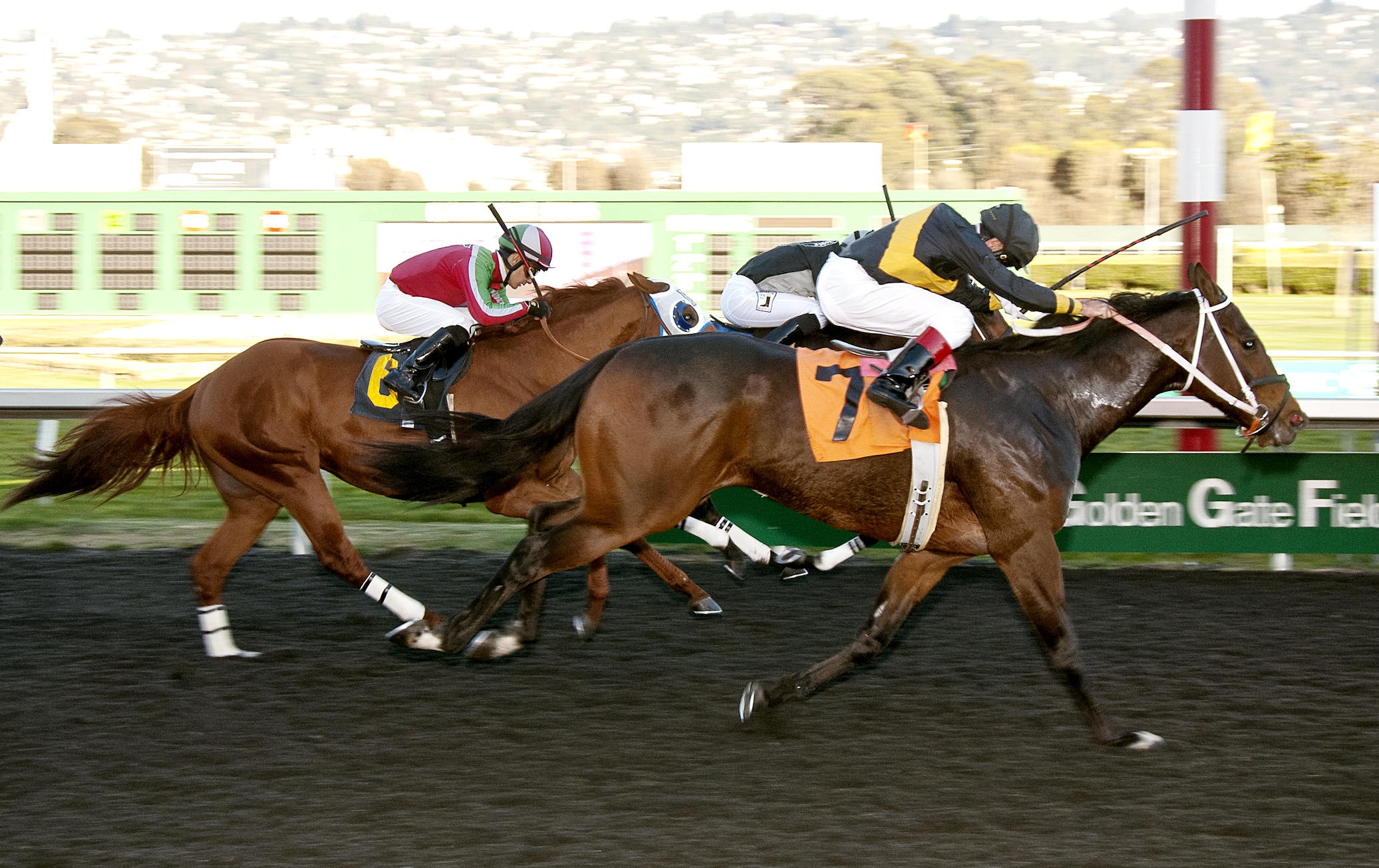 Poshsky wins the Berkeley Handicap