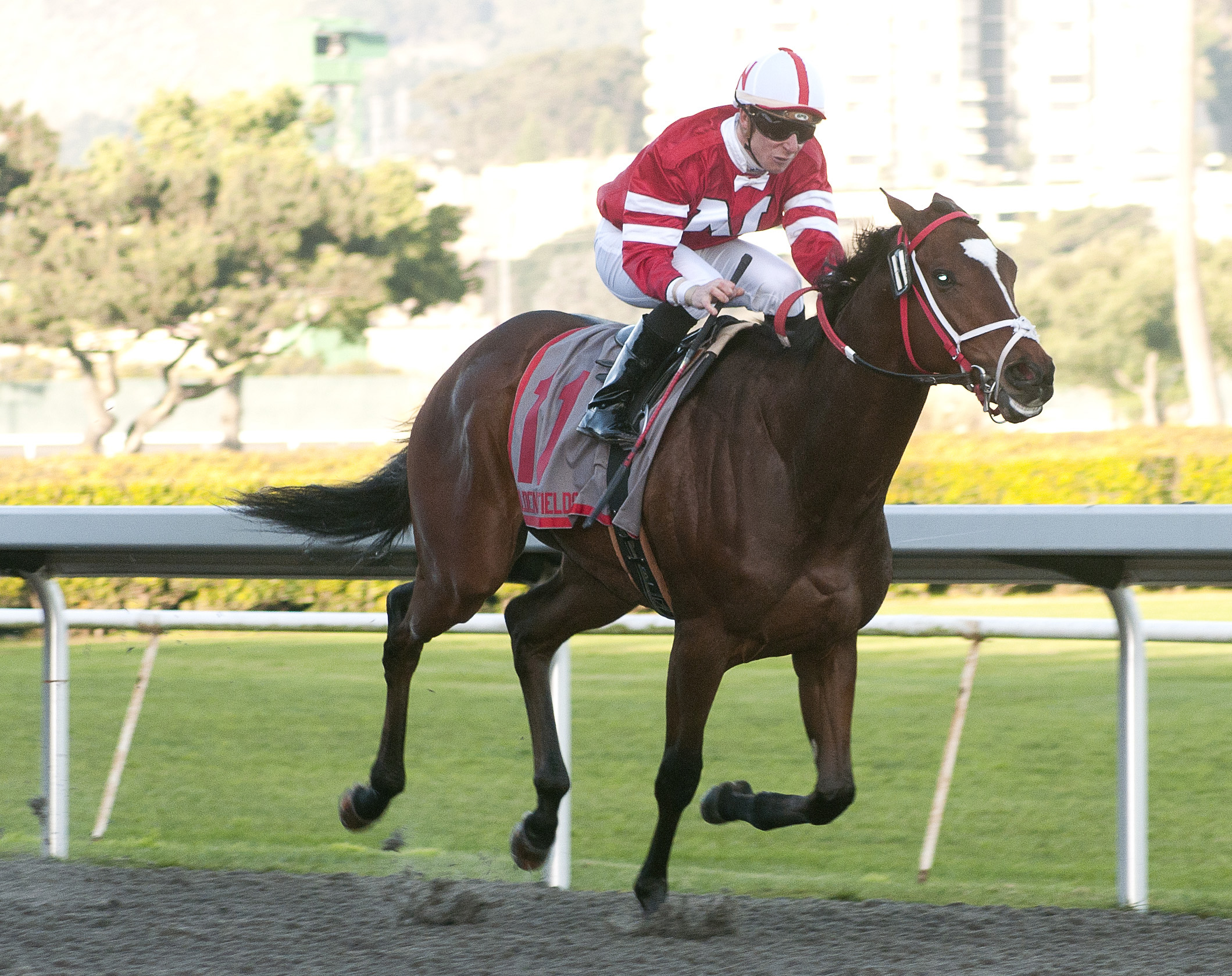 Positive Response/California Derby