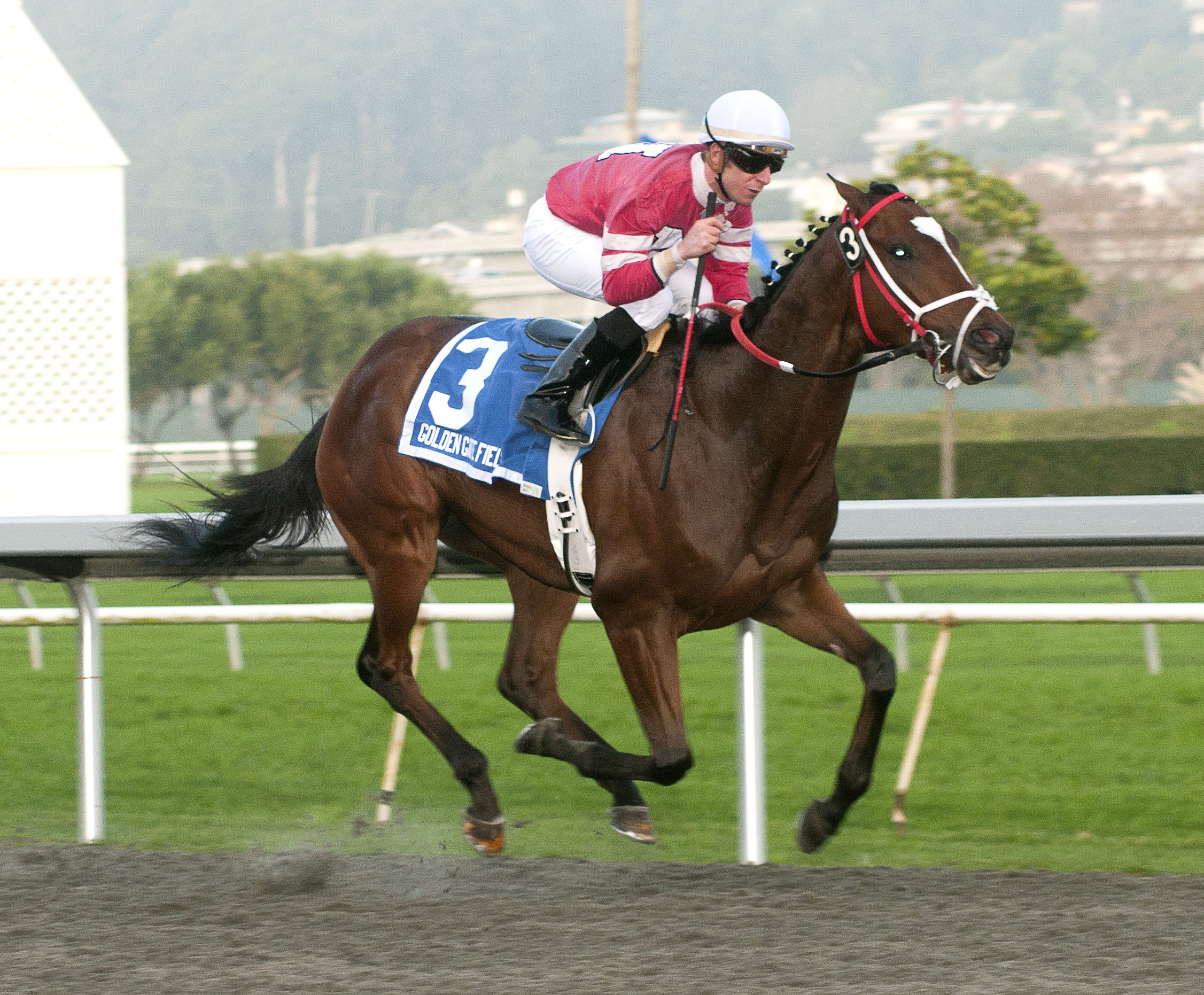 Positive Response, Gold Rush Stakes