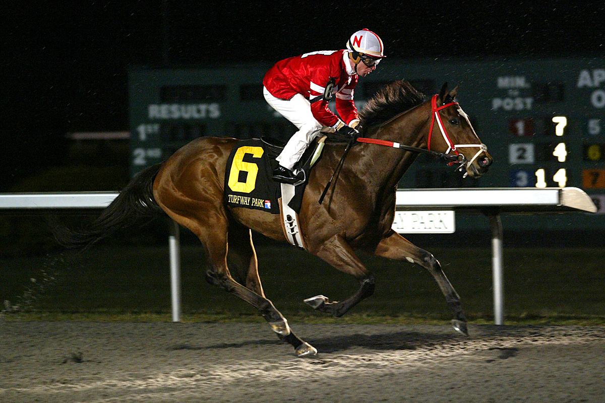 Spiral Stakes a must win for Positive Response's Kentucky Derby hopes