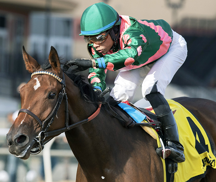 Sparkman: Late to the party, Above Perfection is now belle of the ball