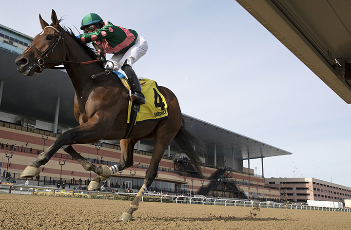 Positive Spirit wins the 2018 Demoiselle