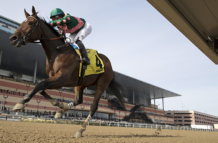 Positive Spirit wins the 2018 Demoiselle