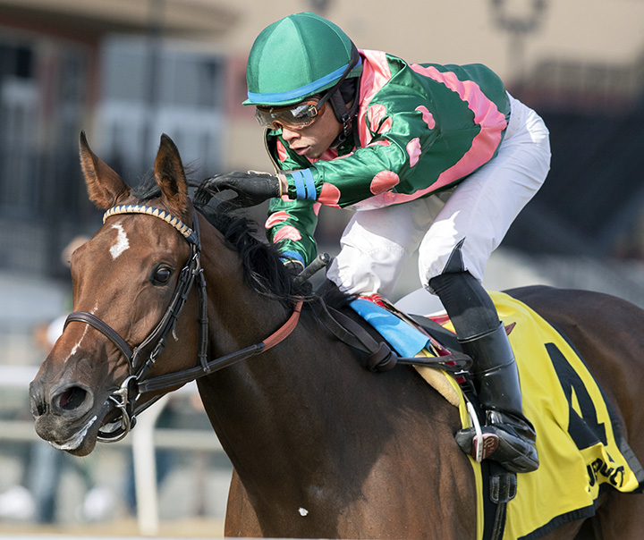 Positive Spirit wins the Demoiselle