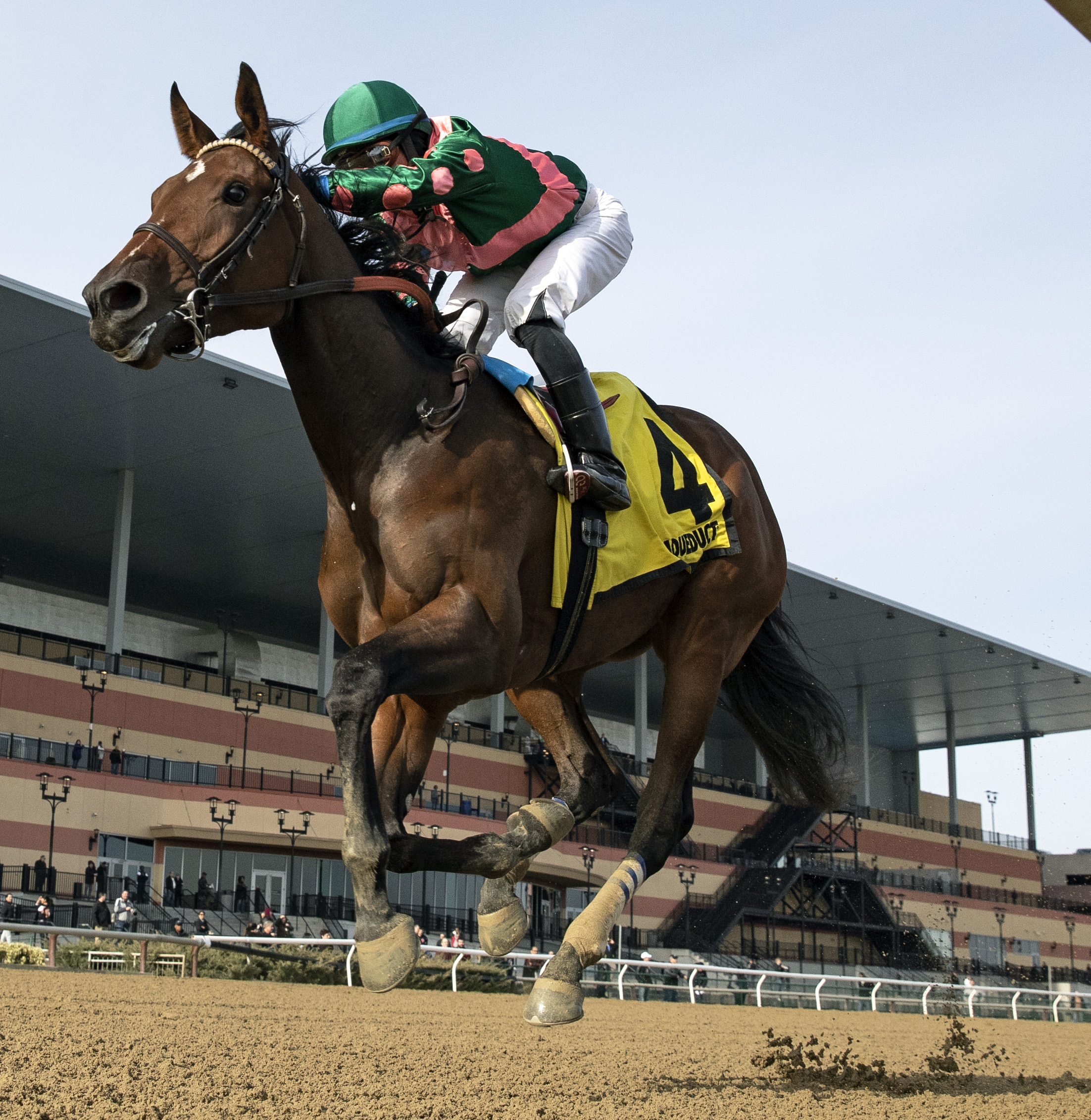 Positive Spirit wins the 2018 Demoiselle