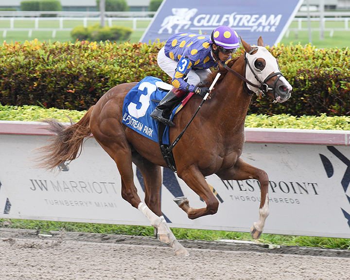 Positively Awesome wins the 2019 Kodiak Island Stakes at Gulfstream Park