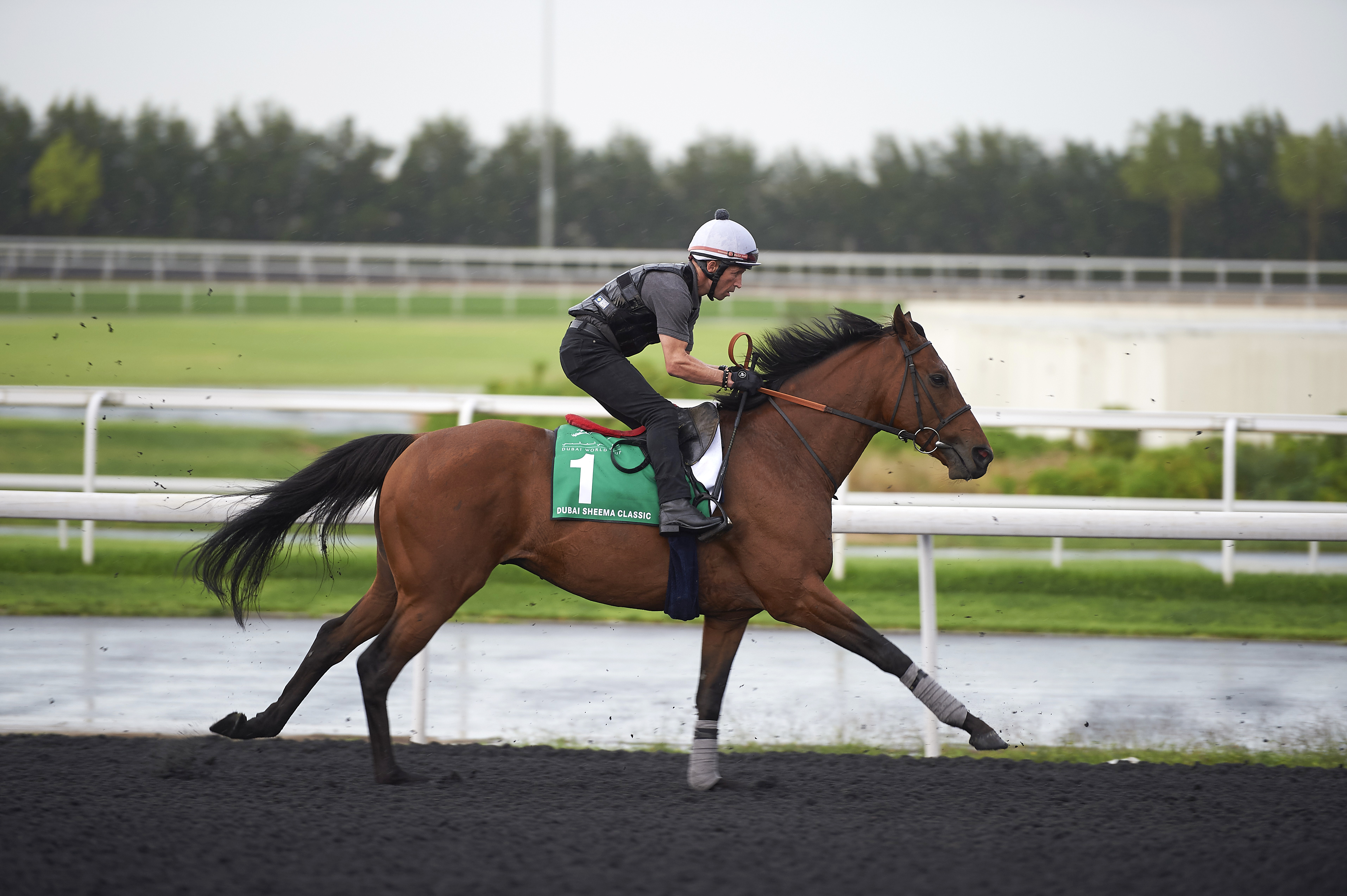Postponed training at Meydan on March 22