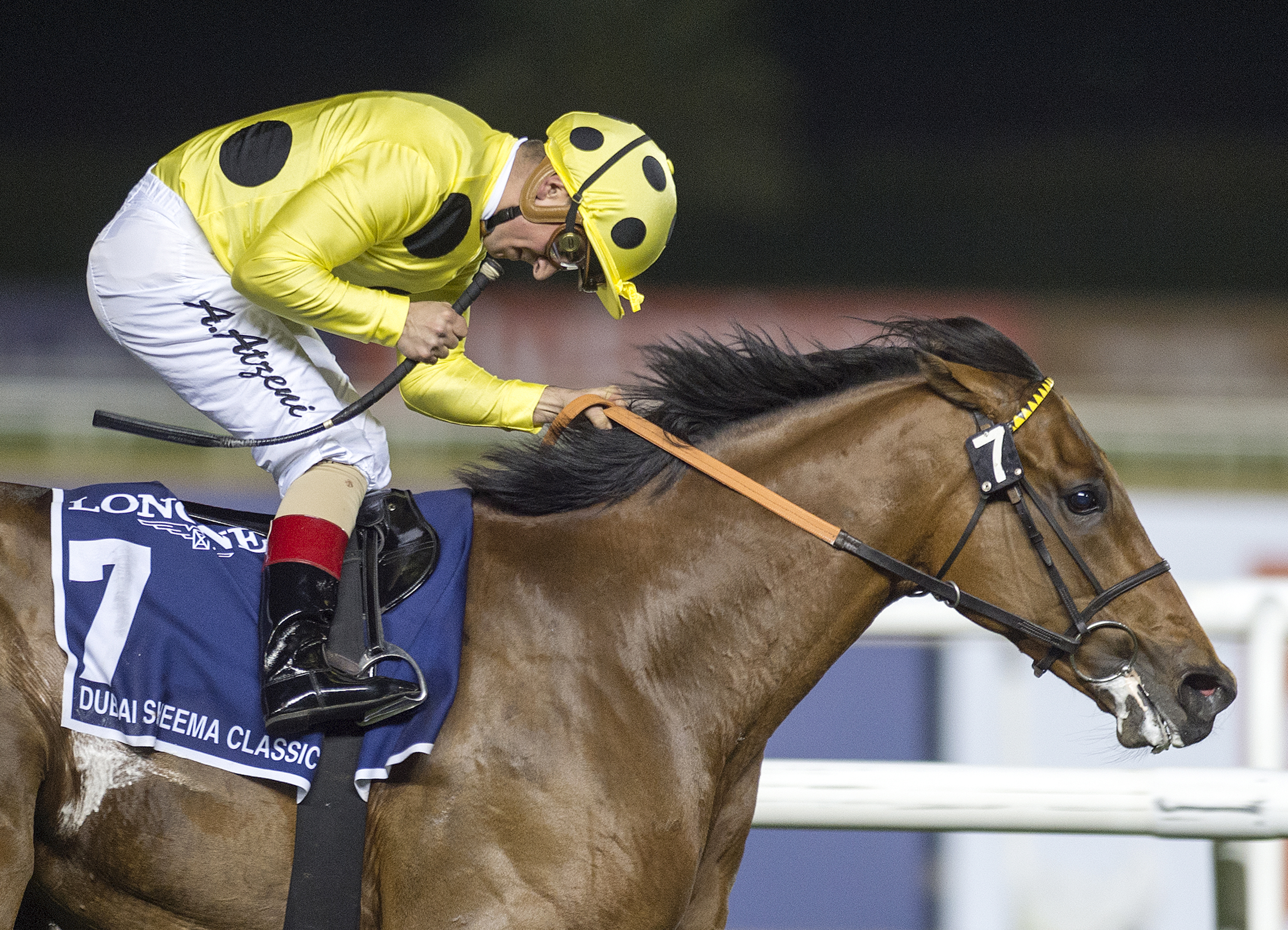 Postponed wins the 2016 Sheema Classic