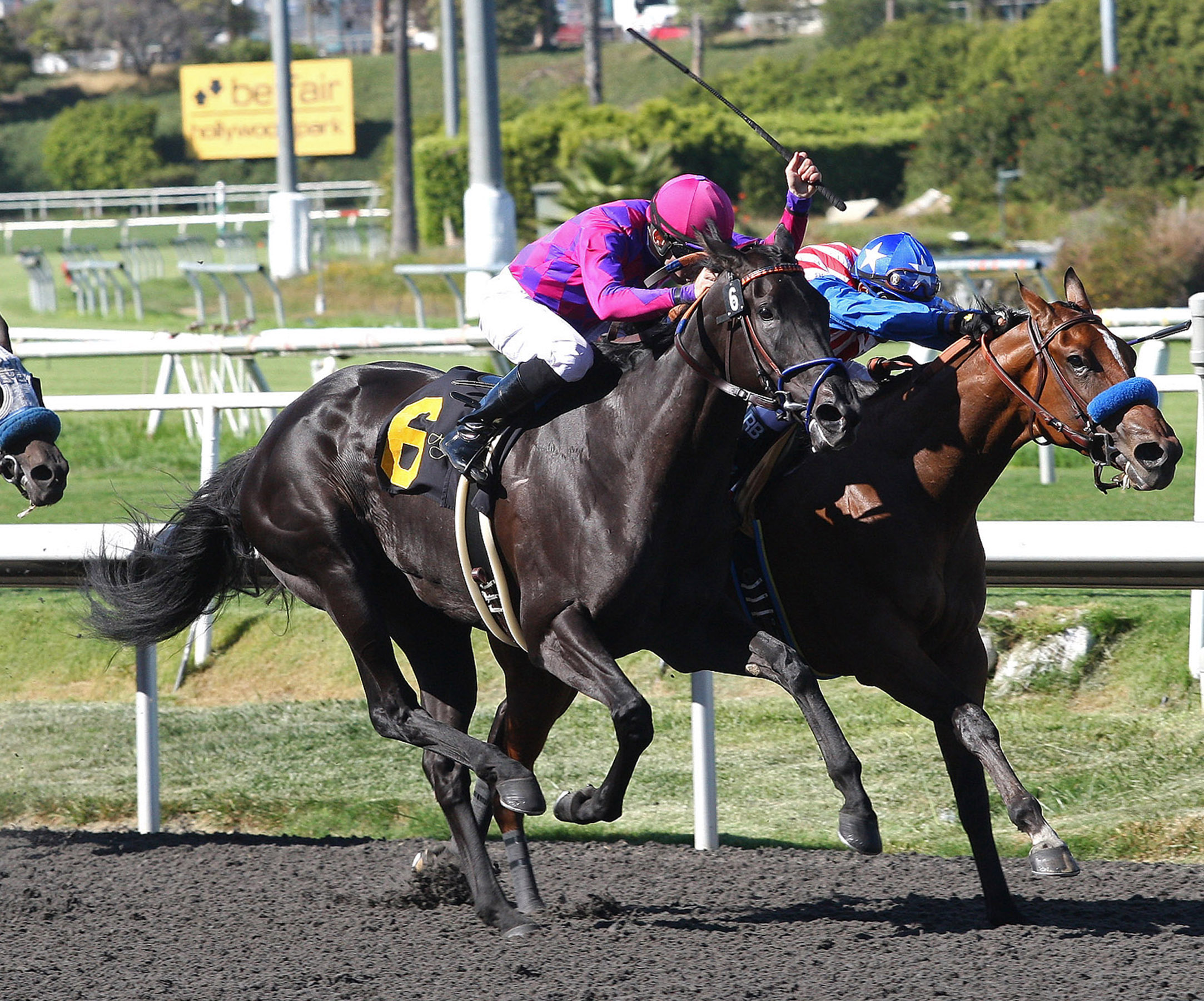 Potesta and Eden's Moon/Hollywood Oaks