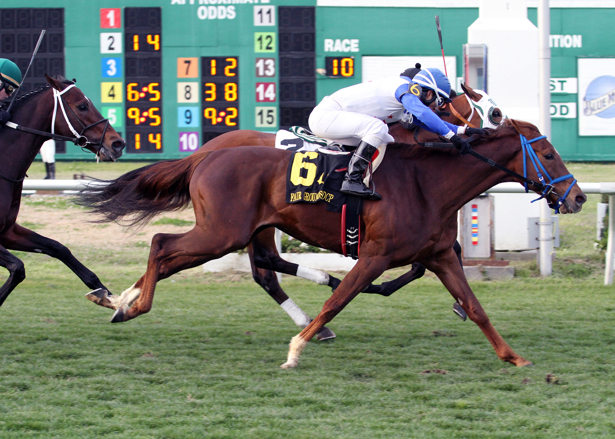 Potomac River wins the 2014 Fair Grounds Handicap