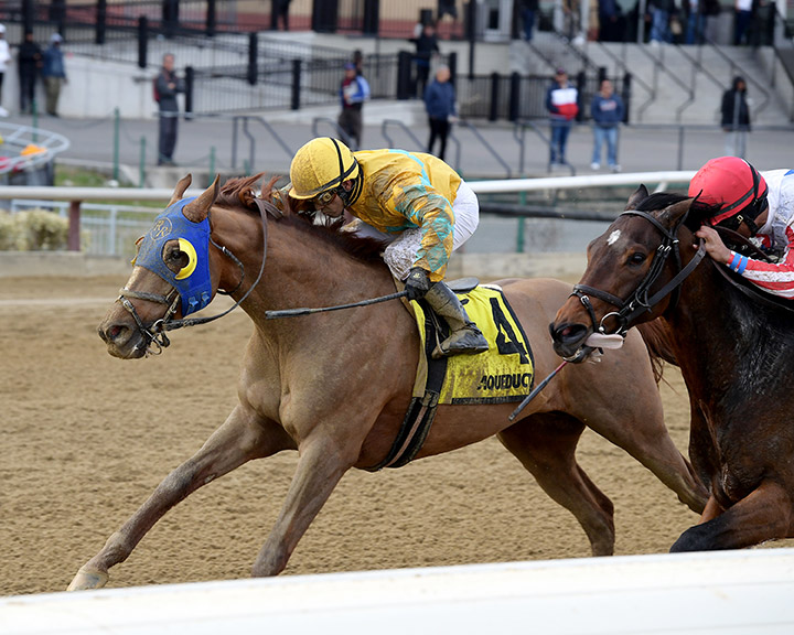 Potomac wins the 2019 More to Tell Stakes at Aqueduct